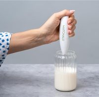 Geling Support de Fouet Matcha en Céramique Performance Fiable, Kit d'Accessoires Matcha Usine Directe, Fouet Chasen en Bambou avec Charme