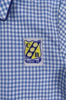 Uniforme escolar personalizado para niñas, camisa escolar Oem, azul claro, tela escolar, para verano