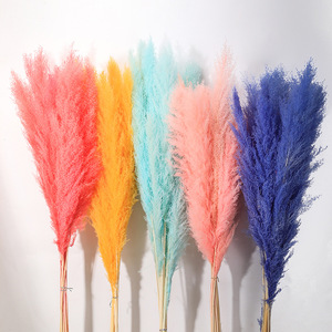 <span class=keywords><strong>120</strong></span> <span class=keywords><strong>CM</strong></span> Secado Esponjoso Botánico <span class=keywords><strong>Pampas</strong></span> Hierba Fflfy Grande Popular Natural Boda Capim Plumas Artificiales De <span class=keywords><strong>Pampas</strong></span> - Product Image 3