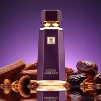 Parfum unisexe liquide Brun par France 100ml, spray corporel, produit phare de l'usine, LIQUID BRUN par French Avenue