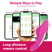 Anpassbarer Smart-App-gesteuerter Vibrator für Frauen, kabellose Fernbedienung, Klitoris-Stimulator, Höschen-Massagegerät, G-Punkt-Vibrator
