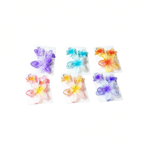 Zi – pinces à cheveux transparentes à deux couleurs, ensemble de 3 pièces pour femmes et filles, Style décontracté et doux, en plastique de haute qualité - Product Image 1