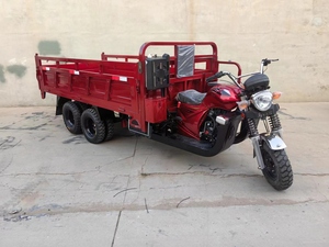 Triciclo motorizado de nueve ruedas duradero con volteo de carga, personalizable, con tanque de combustible de apertura lateral elevado y alta capacidad de carga. - Product Image 6