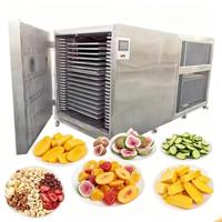 50KG 100KG Petit Multifonctionnel Fruits Céleri Lyophilisateur