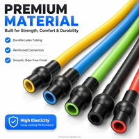 Bandas de Resistencia TPE de 5 Niveles con Asas, Set de Bandas de Ejercicio para Gimnasio en Casa, Viajes, Fitness, Entrenamiento, Hombres, Mujeres, Venta al por Mayor