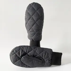 BSCI produttore donna inverno guida guanti touch screen moda a prova di caldo e freddo