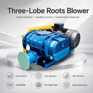 Souffleur à lobes triples à entraînement par courroie, de qualité industrielle, haute pression, faible bruit, économie d'énergie, pour l'aération des eaux usées et des étangs - Product Image 2