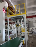 Machine de conditionnement de pesage de remplissage de sac de tonne manuelle de haute précision Applications chimiques de poudre de Graphite de son de farine