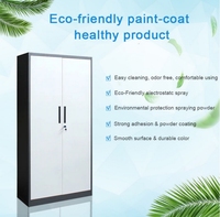 Armoire en acier robuste et moderne pour la maison, le bureau et la salle de sport, 2 portes, rangement de dossiers en métal avec finition écologique