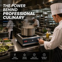 Table de cuisson à induction commerciale 5000W 110V 220V robuste pour restaurant, hot pot et cuisine asiatique professionnelle