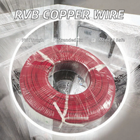 Câble RVB 2 conducteurs en cuivre toronné, plat, isolé PVC, pour usage intérieur/extérieur, connexion d'appareils électroménagers, 24V