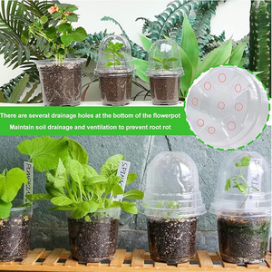 Pot de pépinière de plantes moderne avec <span class=keywords><strong>d</strong></span>ôme transparent Jardinière en plastique transparent avec trou de drainage Jardinière succulente Pot de <span class=keywords><strong>d</strong></span>épart de <span class=keywords><strong>graines</strong></span> - Product Image 3