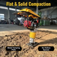 Pilon vibratoire thermique 4,8 kW 13 kN, compacteur de sol portatif pour le remblaiement de fossés