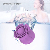 Meistverkauftes Umweltfreundliches Silikon-Rosenblüten-Sexspielzeug mit Starkem Schockeffekt 10 Frequenzen Hochfrequenz-Vibration USB-Aufladbar
