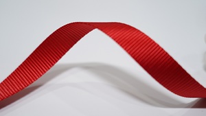 Aoya, usine de rubans tissés de haute qualité, fournit des sangles en polyester de 20 mm, 25 mm ou de largeur personnalisée pour les laisses et les sacs à dos - Product Image 4