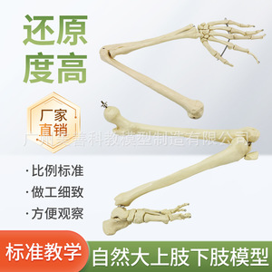 11 - Product Image 3