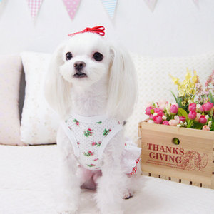 Pet Princess Dress For <b>Dogs</b> Summer Pink White Rose Plaid Skirt Comfortable Decorative <b>Clothes</b> - Product Image 4