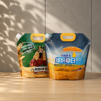 Pochettes souples à bec verseur pour aliments, sachets de boisson autoportants, emballage jetable personnalisé avec logo pour café, jus, thé, vin