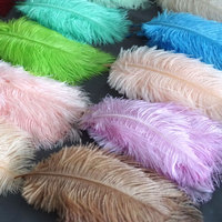 Plumes de décoration de grande taille en plumes d'oiseaux d'Afrique du Sud, couleur orange véritable, 45-50 cm, pour décoration de carnaval, plumes blanches pour la chapellerie, pour la décoration de mariage