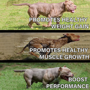 Suplementos para Mascotas con Logotipo Privado, Suplemento para Mascotas con Alto Contenido de Proteínas, Ganador de Masa Muscular para Perros, Suplemento para Desarrollo Muscular Canino - Product Image 3