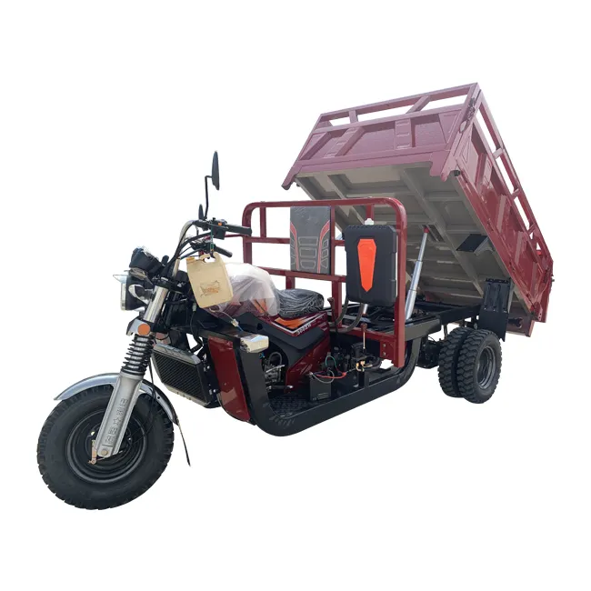 Petrol Tank Tricycle Motorcycle 250Cc For Bricks Goods Transport