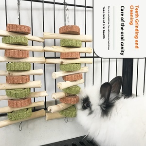 Juguetes para masticar de doble cuerda con diseño de Totoro, bocadillos molares de bambú dulce de alta fibra para animales pequeños como conejillos de indias y conejos - Product Image 2