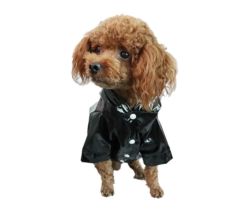 Online Hot Verkoop In Voorraad Pet Jas Regen Jas Kat Puppy Water Proof Kleding Hond Jas Huisdier Jas