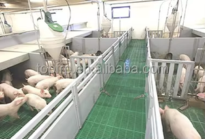 Durable Never Rusty GRP Support Fibra de vidrio Floor Beam Plastic Flooring Crate Slats para Pig Custom Cutting Processing Service - Product Image 2