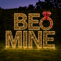 Lumière LED en forme de panneau 'Be Mine' avec cadre métallique, étanche IP65 CE, pour décorations événementielles, spots photo, boulevards urbains, motif Saint-Valentin