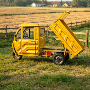 Nuovo Arrivo: Triciclo Elettrico a Bassa Velocità con Batteria, Omologazione EEC COC L2e per Trasporto Merci, Dotato di Batteria 72V 58AH, Modello UE - Product Image 4