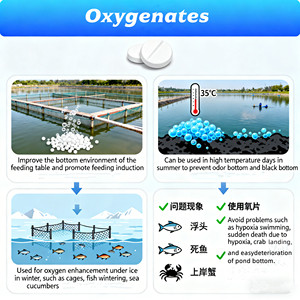 เม็ดออกซิเจนสำเร็จรูปสำหรับการเพาะเลี้ยงสัตว์น้ำ บรรเทาภาวะขาดออกซิเจนอย่างรวดเร็วในสภาพอากาศร้อนและฝนตกหนัก - Product Image 5
