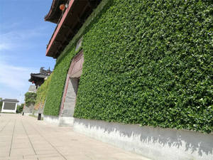 Maceta Vertical para Jardín Vertical, Soporte para Plantas de Pared con Orificio de Drenaje, Plástico PP Ecológico para Proyectos de Vegetalización - Product Image 5