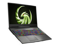 Para MSI Alpha 17 Ryzen 9 R7 RTX4060 8G 16G RAM 1T 17,3 pulgadas 2,5 K 240Hz Win11 RGB PC Notebook Computer Gaming Laptops Nuevo
