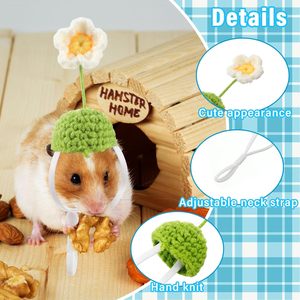 Chapeaux de Hamster avec écharpe ensemble petits chapeaux d'<span class=keywords><strong>animaux</strong></span> en vrac <span class=keywords><strong>accessoires</strong></span> de Costume de cochon d'Inde mignon minuscule Mini cadeau tricoté <span class=keywords><strong>pour</strong></span> petits <span class=keywords><strong>animaux</strong></span> - Product Image 4