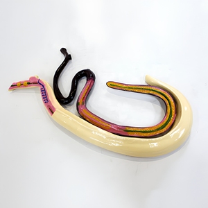 Modello di Schistosoma Staccabile: Modello Didattico di Biologia dei Parassiti con Copulazione Maschile e Femminile - Product Image 1