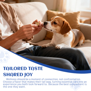 OEM ODM Herstellung Professionelles Haustier-Zahnpulver-Nahrungsergänzungsmittel Maßgeschneiderte Formel Organisches Probiotisches Hunde-Zahnreinigungspulver - Product Image 5