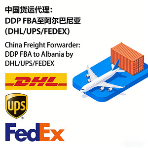 Transitario Internacional Zhonglong DDP FBA a Albania por DHL UPS FEDEX Transporte Aéreo Marítimo Ferroviario Envío Exprés - Product Image 3