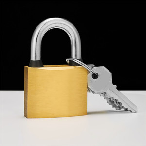 Feihuan fabbrica Heavy Duty in ottone lucchetto 60mm di alta sicurezza con 3 chiavi impermeabile anello di gomma e candridad segridad - Product Image 1