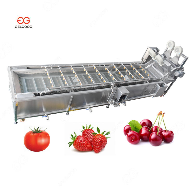 Mango Sorting and Quick Drying Machine - Efficient Fruits Processing