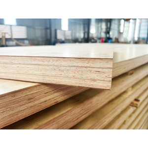 Madera Contrachapada Laminada Industrial de PRIMERA CLASE E0, Madera de Caucho de Vietnam Fenólica Tailileum-400 HPF, Decoración de Doble Cara para - Product Image 1