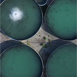 Visvijver Gegalvaniseerd Blad <span class=keywords><strong>Koi</strong></span> Vis Vijver Gegalvaniseerde Plaat Prijzen Buiten Visvijver - Product Image 3