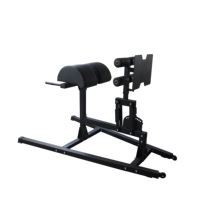 Chaise romaine d'hyper-extension d'exercice de dos de machines de sport chargées par plaque