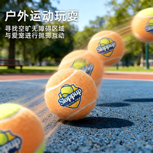 Juego de pelotas de tenis para perros Sloppup, juguete interactivo de fieltro para entrenamiento y entretenimiento de mascotas - Product Image 2