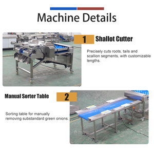 Máquina de lavado, secado por aire y corte de cebollín y cebolla verde; Máquinas de limpieza y corte de cebollín - Product Image 3