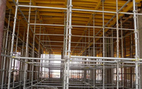Accesorios de andamio Cuplock galvanizados en caliente: Piezas de andamio, barra vertical superior e inferior, accesorios de andamio al por mayor