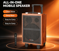 Sistem PA Metal Berdaya Tinggi dengan Mic UHF, USB/TF Card, Radio FM, Woofer 8-inci, Baterai Isi Ulang untuk Karaoke & Acara