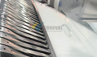 Machine automatique de comptage, remplissage et bouchage de tubes pour comprimés, machine d'emballage de tubes pour comprimés effervescents en bouteilles PP
