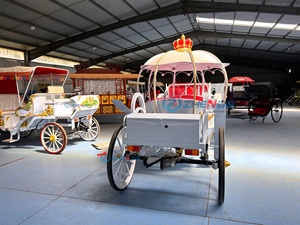 Nuevo Carroza de Caballos Eléctrica de Hierro Forjado con Diseño de Calabaza, Estilo Princesa Real Europea, para Bodas, en Venta - Product Image 6