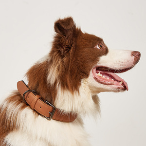 Kalung Anjing Kulit Mewah Modern Sederhana Tahan Lama Ramah Lingkungan Anti Air Lembut Nyaman Ukuran Dapat Disesuaikan Logo Dapat Disesuaikan - Product Image 3