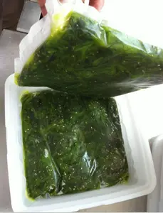 HN Hot Sale Alta Qualidade Algas Delicioso sabor wakame Slice Frozen Seaweed Salad restaurante